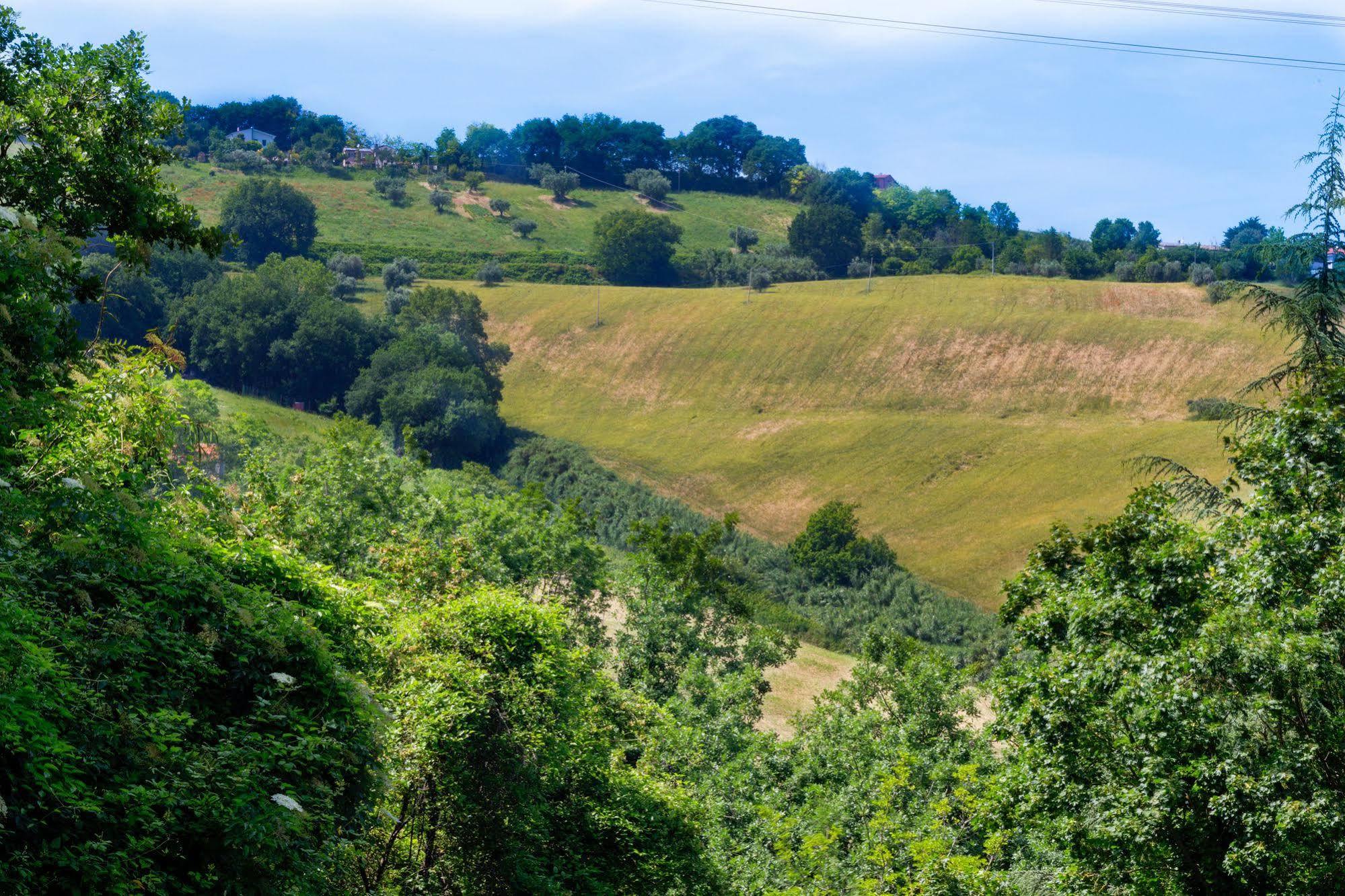 B&B La Residenza Del Poeta Montesicuro Zewnętrze zdjęcie